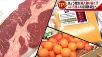経済ニュース - ついにTPP11が発効 関税引き下げでどれだけお得? | 動画視聴は【Abemaビデオ(AbemaTV)】