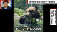 【映像】クマ駆除辞退「報酬安すぎ」発言の真相