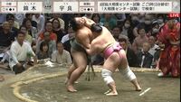 【映像】「どうよ」視聴者が注目した人気力士の仕草