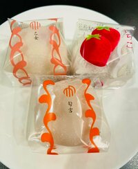 ココリコ遠藤嫁『嬉しいお土産』