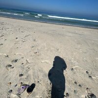 Seiko Darvish『検診』