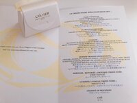 平野ノラ『出産前にやる事リスト！』