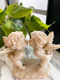 堀ちえみ『体調も良いから心も穏やかに過ごせる日』