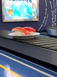 丸岡いずみ『家族旅行』