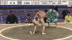 絡みついたら離れない！超スリム60キロのベテラン力士、ピチピチ若手を技と執念で完封 館内大拍手「すげっ！」「優勝したら泣くわ」