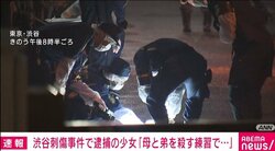 犯人の少女「練習で刺した」「自分の母と弟を殺そうと思ったが勇気が出なかった」などと供述か 渋谷区路上で親子が包丁で刺され重傷を負った事件