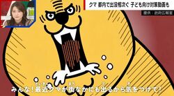 クマ目撃から遺体発見まで…相次ぐ出没に政府が子供向け「クマ対策動画」を公開