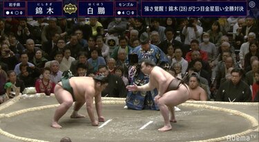 白鵬×黒霧島 座布団 オンライン 白鵬×黒霧島 座布団