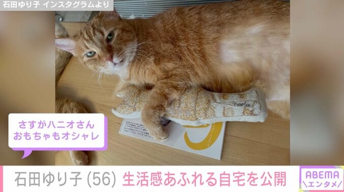 【写真・画像】石田ゆり子(56) 生活感あふれる自宅を公開「おもちゃもオシャレ」「お気に入り感が伝わってくる」　2枚目