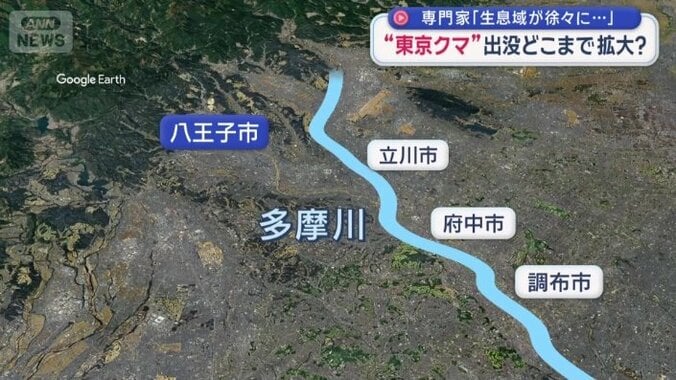 多摩川の河川敷を通ってクマが移動する可能性も