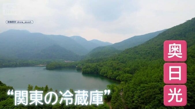 奥日光