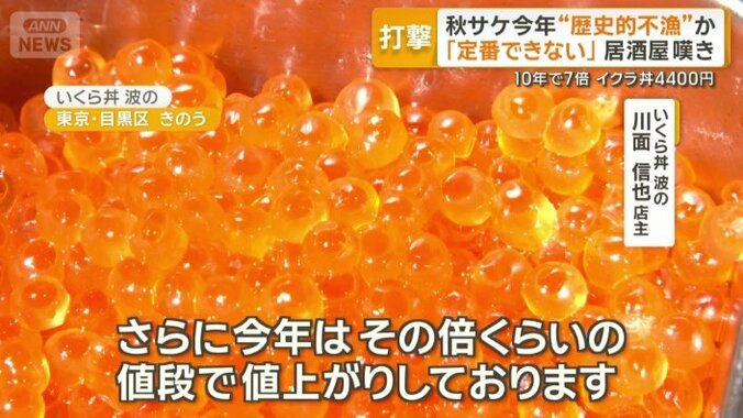 イクラにピンチ
