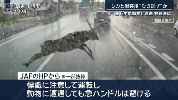 JAFのHPから（一部抜粋）
