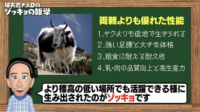 【写真・画像】　3枚目