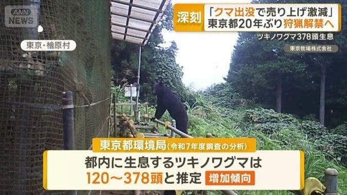 ツキノワグマは都内に最大378頭と推定
