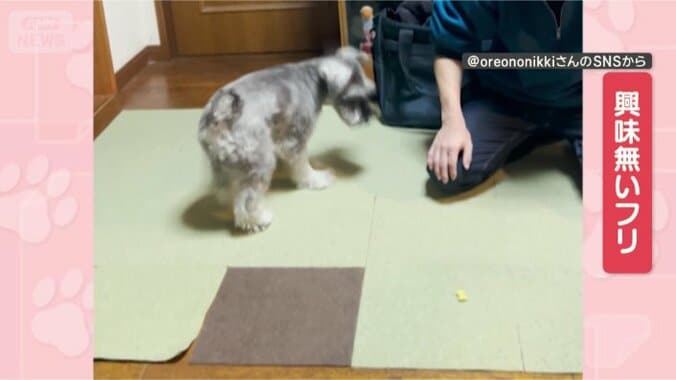 興味はないです…よ？