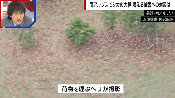 長野・南アルプス（提供：東邦航空）