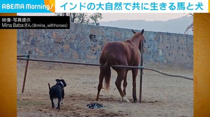 インド北部、グルグラム