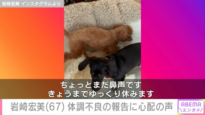 【写真・画像】孫の顔出しが話題 岩崎宏美（67）、「病院行ってきます」体調不良を報告し心配の声　2枚目