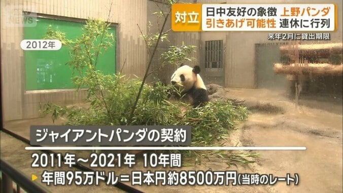 ジャイアントパンダの契約