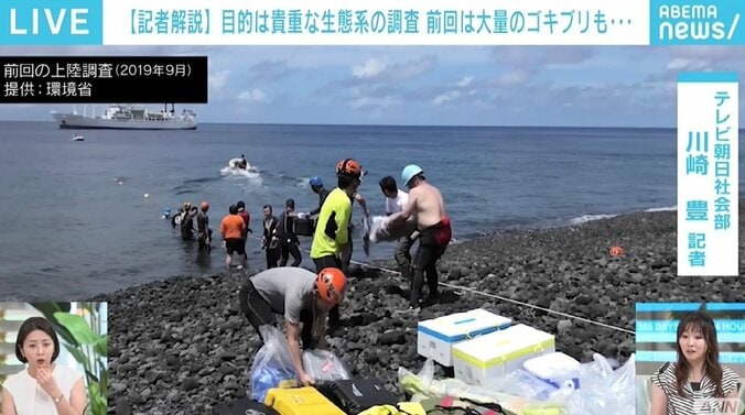 前回調査で生きていた昆虫は噴火でどのように…？ 研究者も感動する“神秘の島”「西之島」 調査団が出発 2枚目