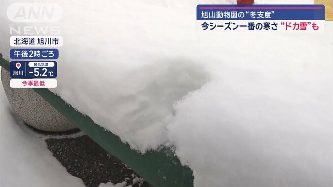 11月中旬としては7年ぶりに、20センチ以上の積雪を観測