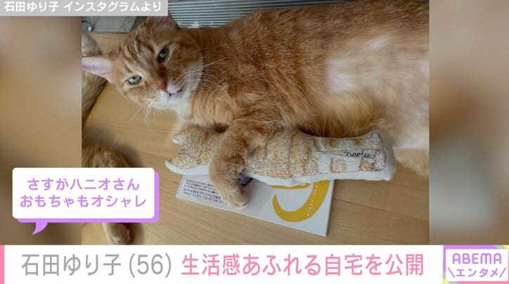 【写真・画像】石田ゆり子(56) 生活感あふれる自宅を公開「おもちゃもオシャレ」「お気に入り感が伝わってくる」 2枚目