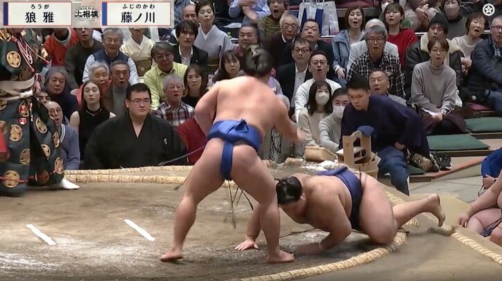 【写真・画像】小兵力士が「居ると見せかけて居ない」 一瞬の妙技“はたき込み”に館内どよめき「思わずウマイって叫んじまった」　2枚目