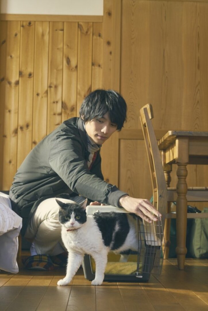 猫欲を満たす、癒しの猫映画3作を紹介！ 福士蒼汰主演『旅猫リポート』新場面写真も到着
