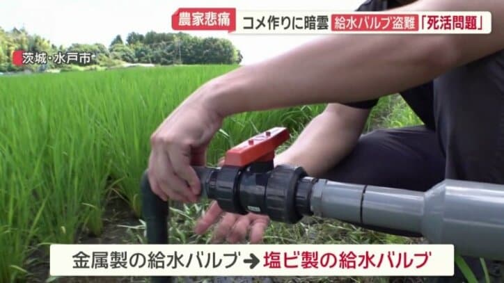 塩ビ製の給水バルブを設置