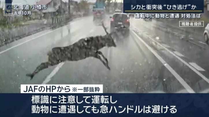 JAFのHPから（一部抜粋）