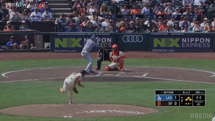 【写真・画像】　2枚目