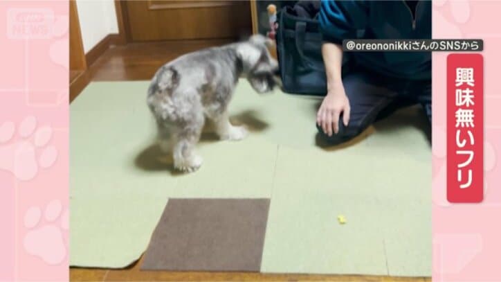 興味はないです…よ？