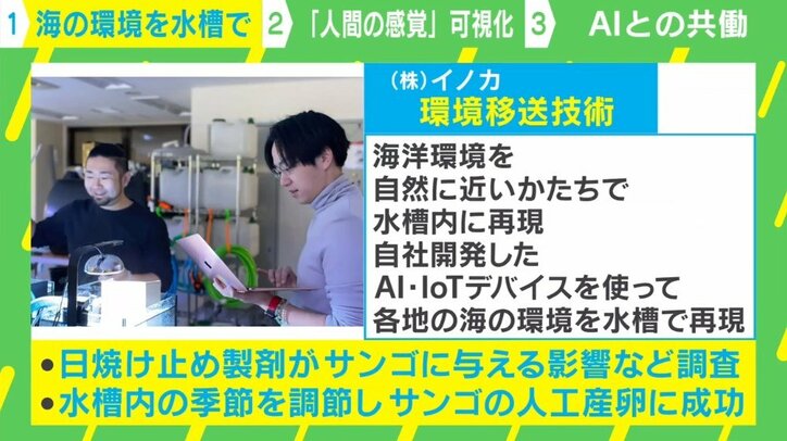 【写真・画像】 2枚目