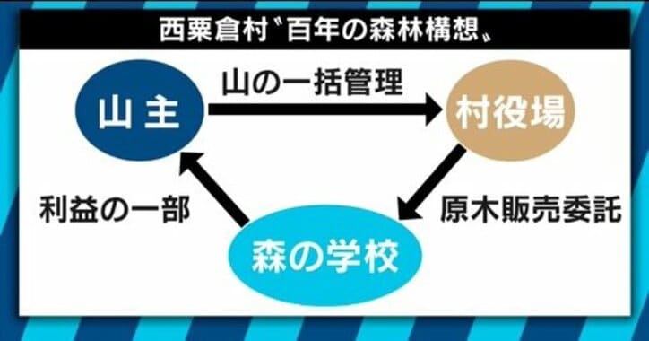 過疎の村にベンチャー起業が山に集結、IoTで木の管理も…日本の林業はオワコンじゃない!