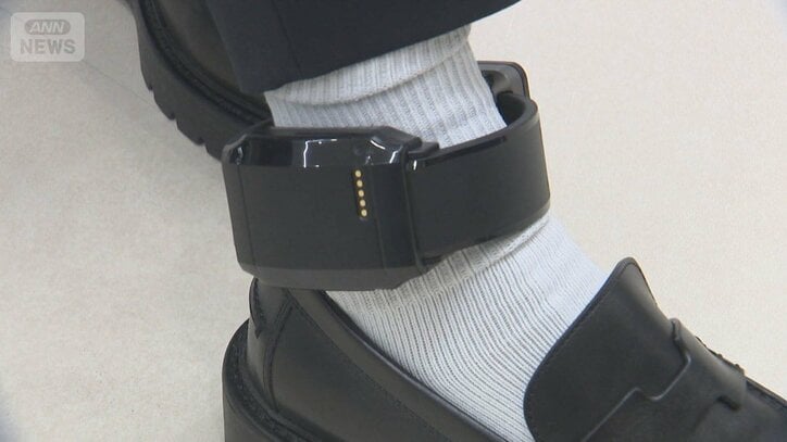悪質ストーカー加害者にGPS義務付け検討 被害者に近づくと通知 規制法強化めざす