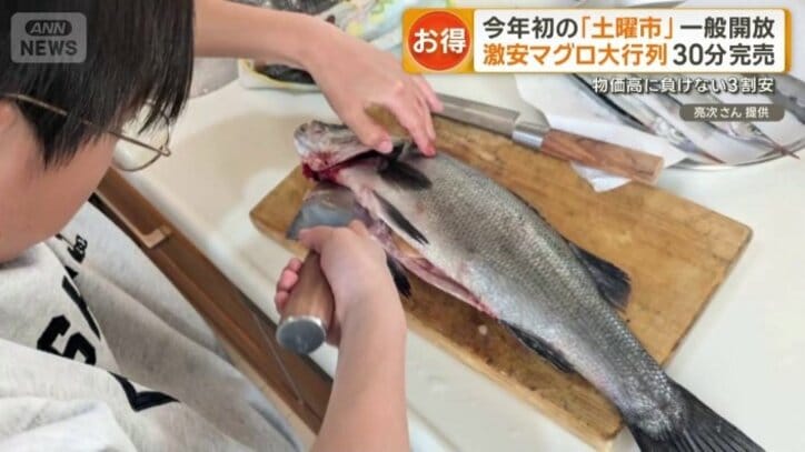 ヒラスズキをさばく