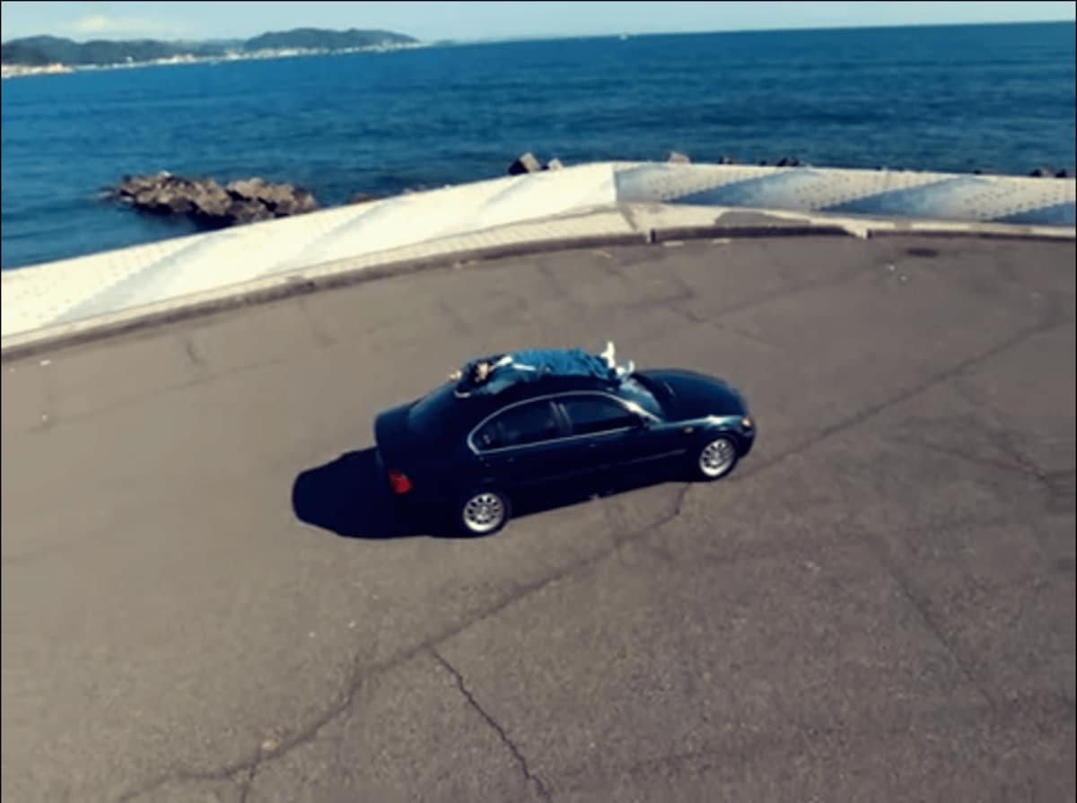 DUSTY HUSKY 山越　lp DUSTY HUSKY - 山越 [LP] | DLiP RECORDS OFFICIAL W