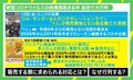 「“コロナやけ”になっている人もいるのでは」 ユニクロコラボ商品、市のプレミアム商品券に客殺到の心理