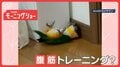 まるで腹筋トレーニング！　素早く頭を動かし続けるインコさん　筋トレしてるの？