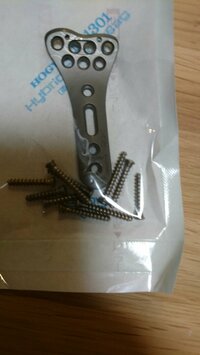 鈴木おさむ『骨??』