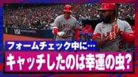 【映像】大谷翔平が“幸運の虫”?をキャッチした瞬間