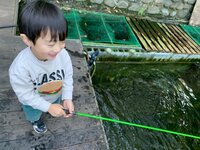 杉浦太陽『コアの釣り堀〜♪』