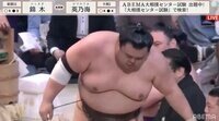 【映像】「ごめんね」「いえいえ」気遣う力士の姿に反響