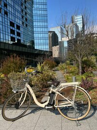 加島ちかえ『愛チャリでジムにだ』