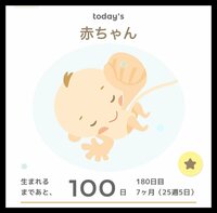 桃『彼の趣味の時間！そして予定日残り100日！！』