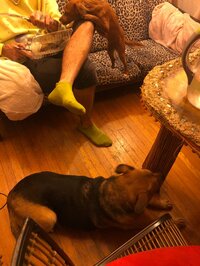 野沢直子『ニューライフ』