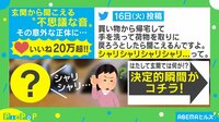 玄関から「シャリシャリ…」不思議な音の正体は