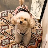 堀ちえみ『ちかちゃんの血液検査の結果』