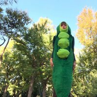 hitomi『仮装は…』